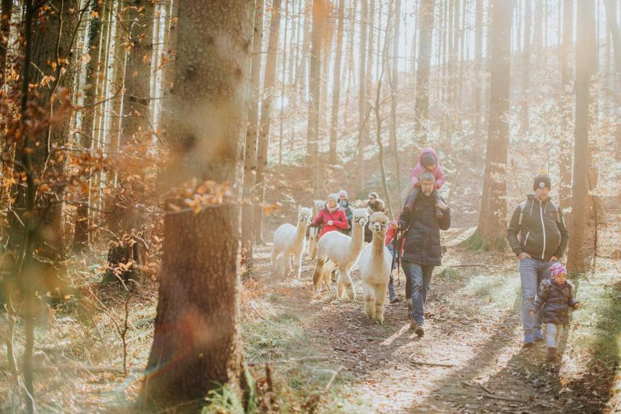 Gasthof Grossschedl Zum Kramerwirt Lassnitzhoehe Exteriér fotografie